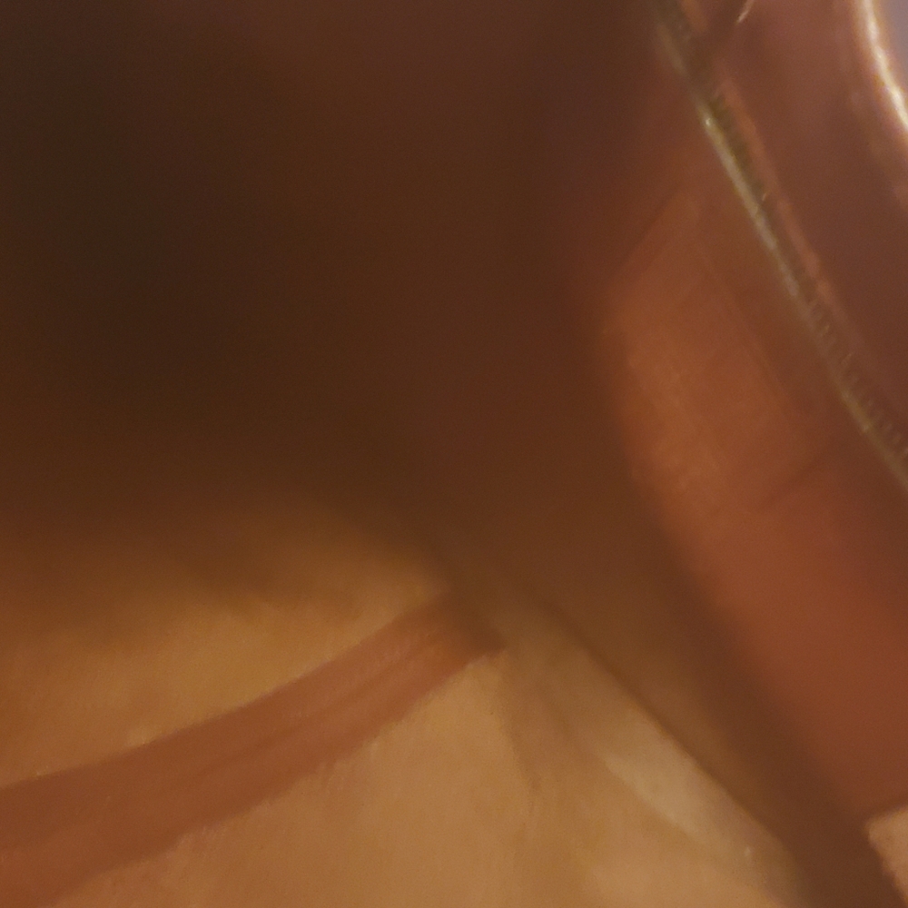 Coach back pack purse